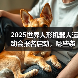 2025世界人形机器人运动会报名启动,哪些条件需注意?(图4) 2025世界人形机器人运动会报名启动,哪些条件需注意?(图4)