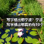写字楼出租宁波？宁波写字楼出租真的有10个理由值得你考虑（图4）