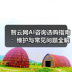 智云网AI咨询选购指南：维护与常见问题全解析2025（图4）